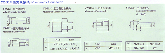 YZG12^