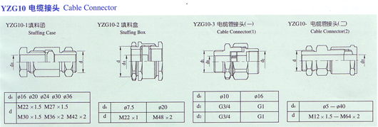 YZG10|^